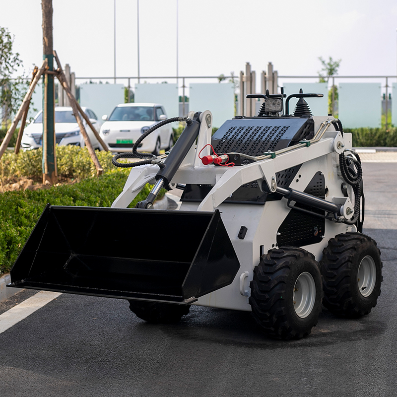 Дешевый дизельный мини-погрузч – обзор и цена Skid Steer Loader